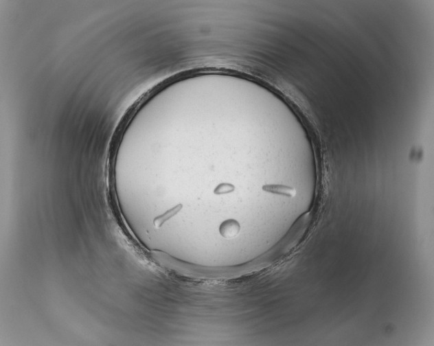 X0000110931028200907091516