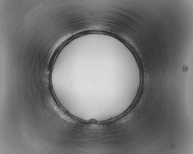 X0000110931029200907091516