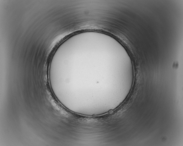 X0000110931030200907091516