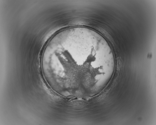 X0000110931031200907091516