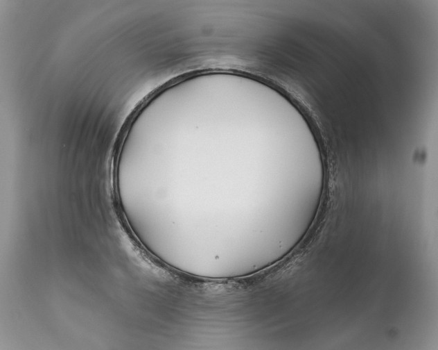 X0000110931032200907091516