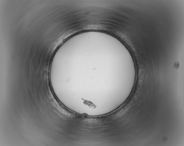 X0000110931033200907091516