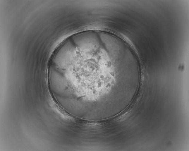 X0000110931035200907091516