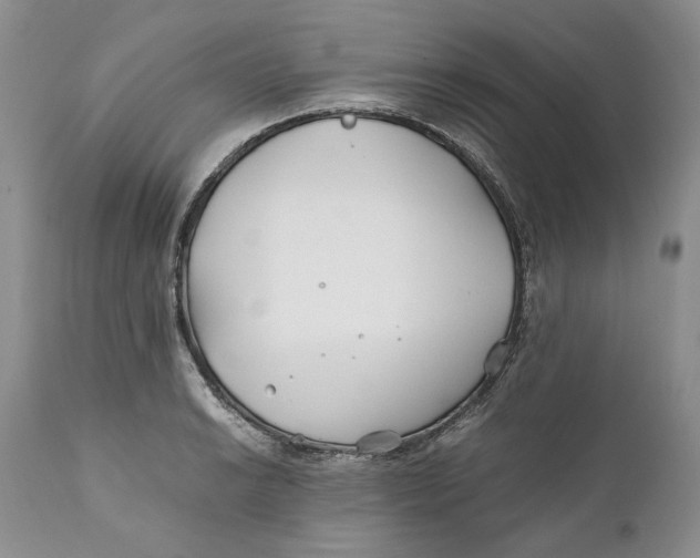 X0000110931038200907091516