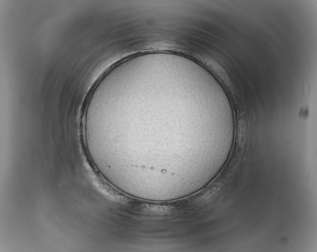 X0000110931039200907091516