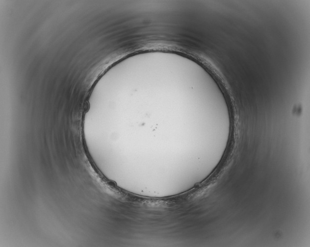 X0000110931041200907091516