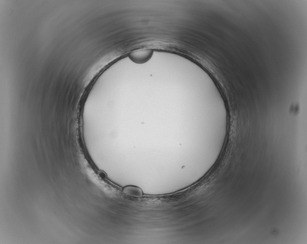 X0000110931042200907091516