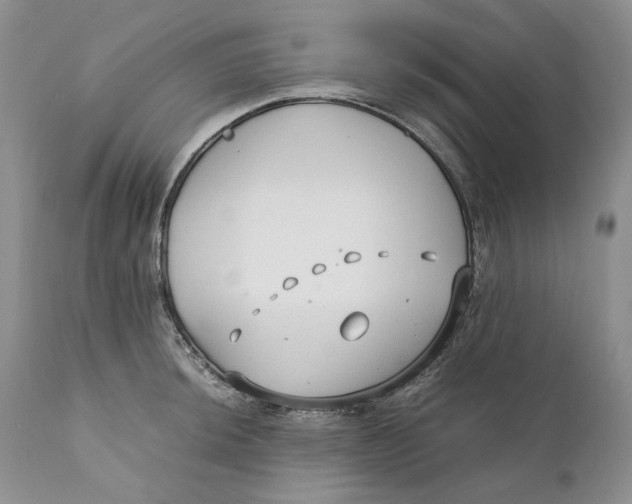 X0000110931044200907091516