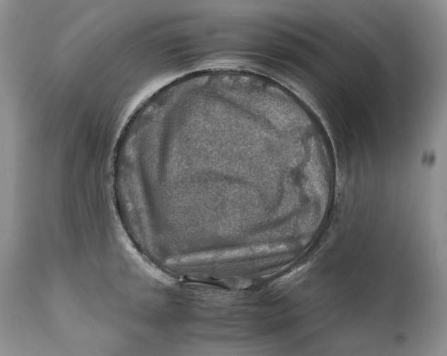 X0000110931045200907091516