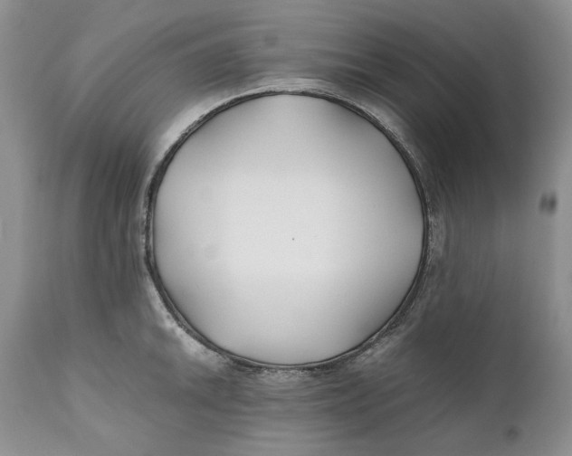 X0000110931046200907091516