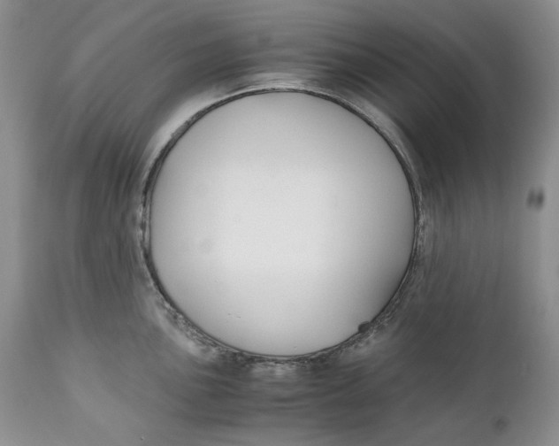 X0000110931051200907091516