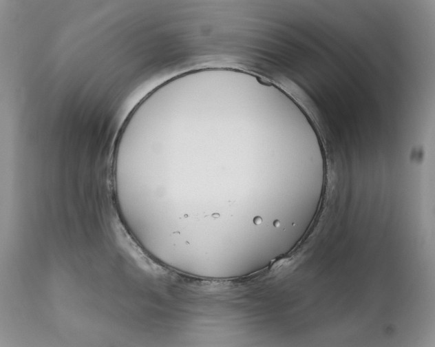 X0000110931052200907091516