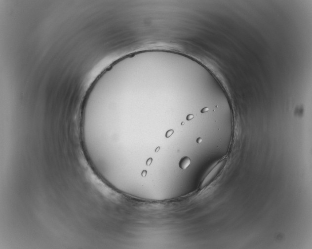 X0000110931054200907091516