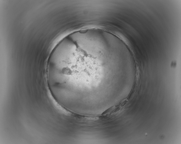 X0000110931055200907091516