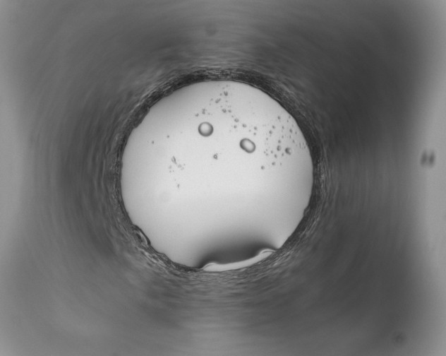 X0000110931057200907091515
