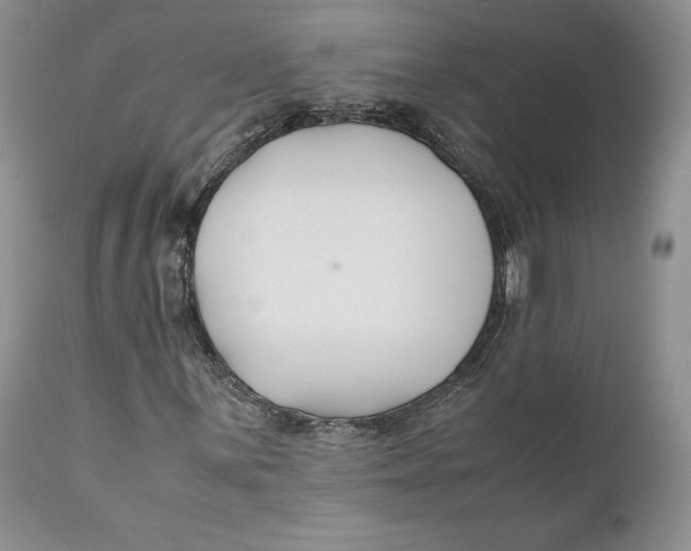 X0000110931059200907091515