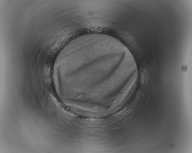 X0000110931060200907091515