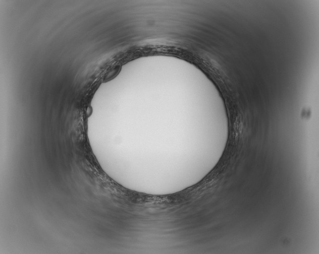 X0000110931062200907091515