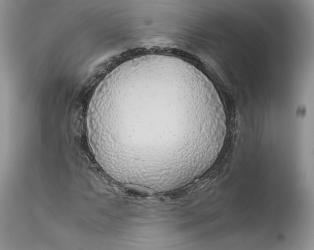 X0000110931063200907091515