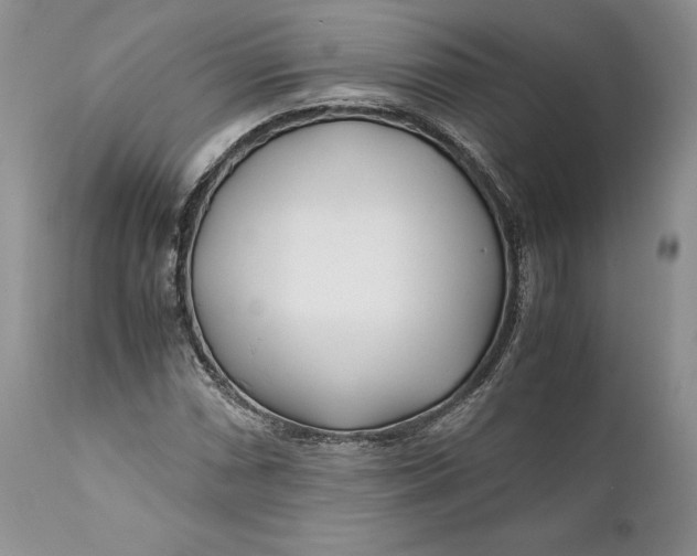 X0000110931066200907091515