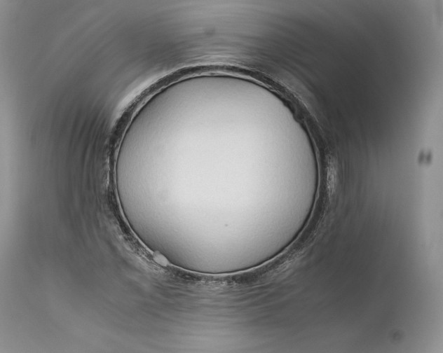 X0000110931069200907091515