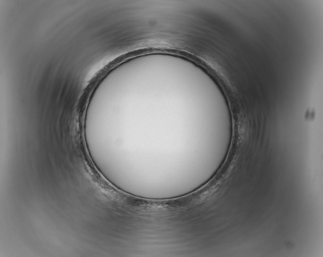X0000110931070200907091515