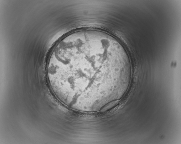 X0000110931071200907091515
