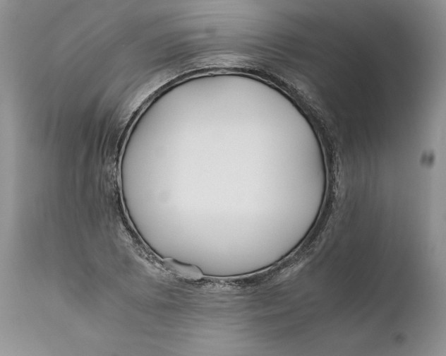 X0000110931073200907091515