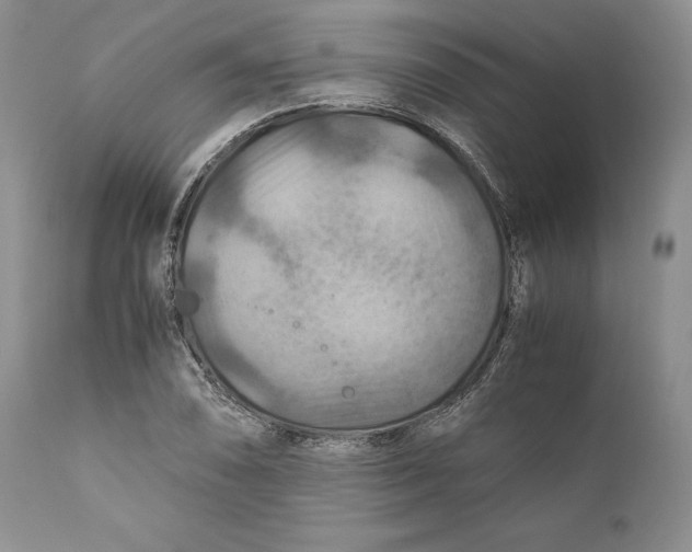 X0000110931074200907091515