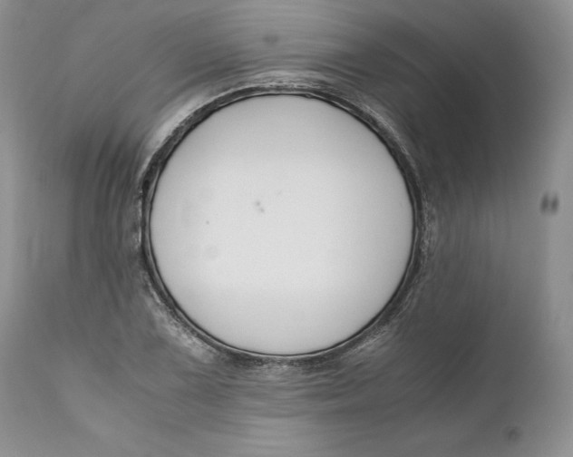 X0000110931075200907091515