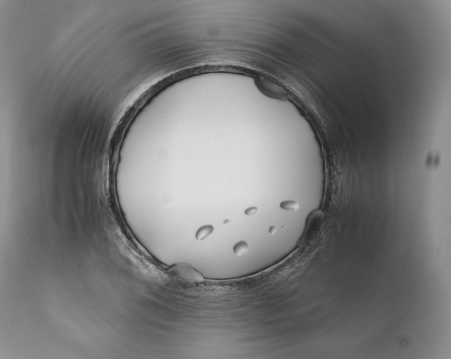 X0000110931076200907091515