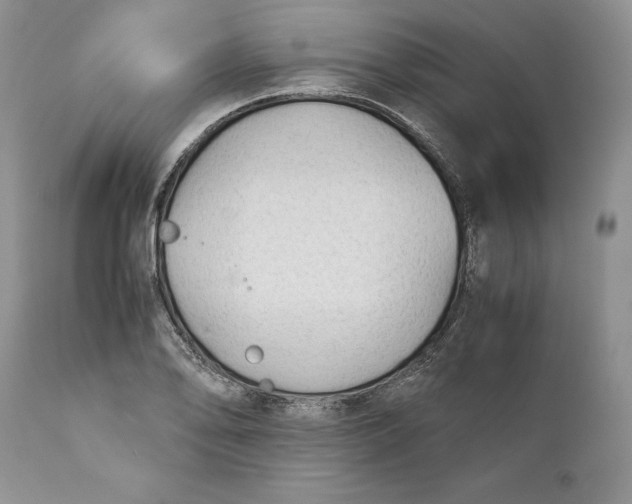 X0000110931078200907091515