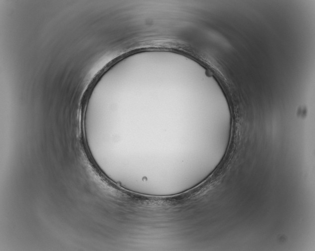 X0000110931079200907091515