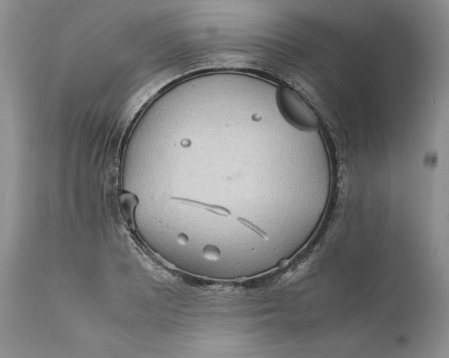 X0000110931081200907091515