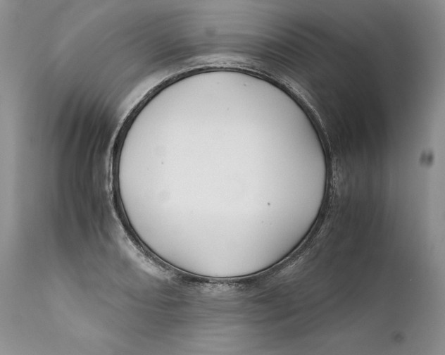 X0000110931082200907091515