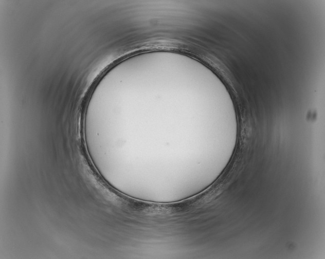 X0000110931083200907091515