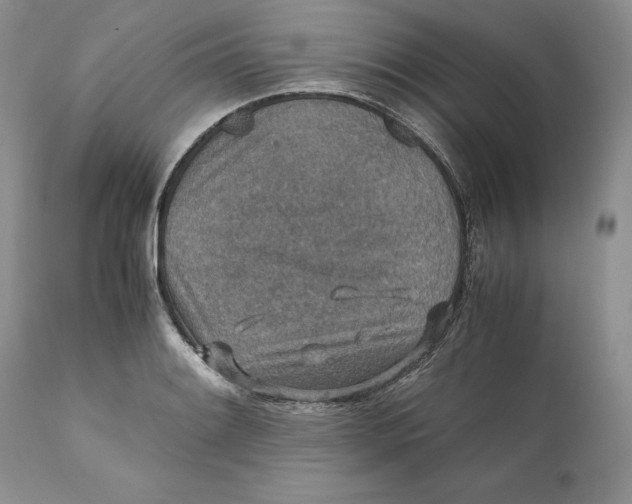 X0000110931084200907091515