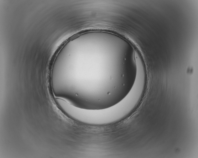 X0000110931085200907091515