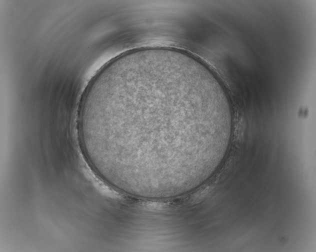 X0000110931086200907091515