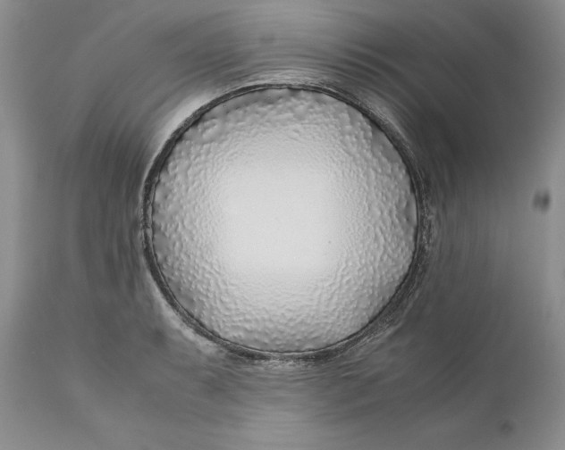X0000110931087200907091515