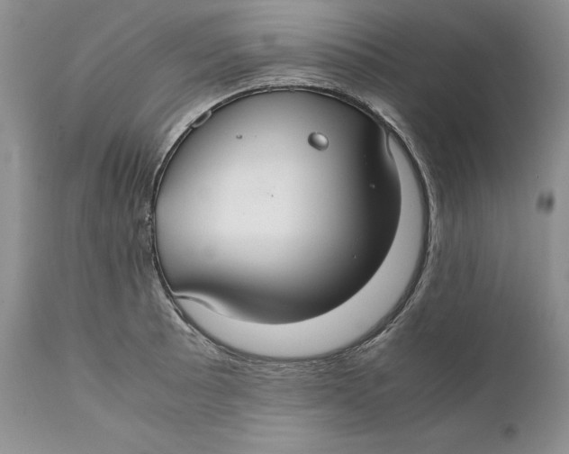 X0000110931089200907091515