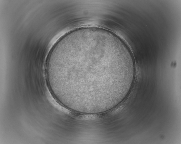 X0000110931090200907091515