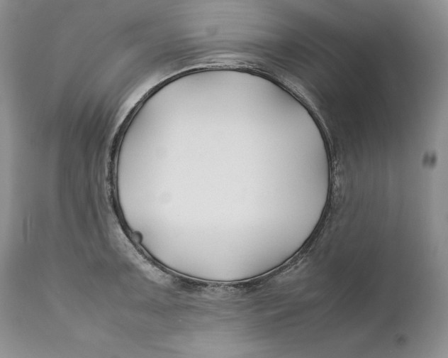 X0000110931091200907091515