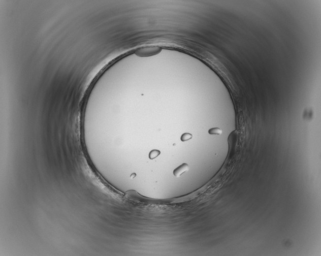 X0000110931092200907091515