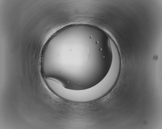 X0000110931093200907091515