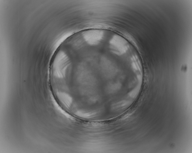 X0000110931095200907091515