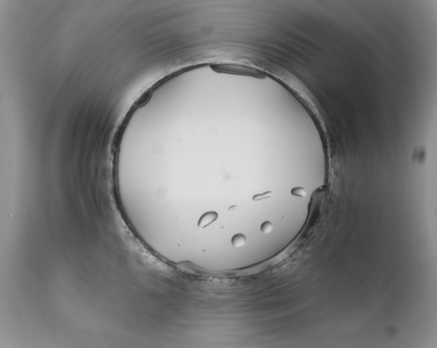 X0000110931096200907091515