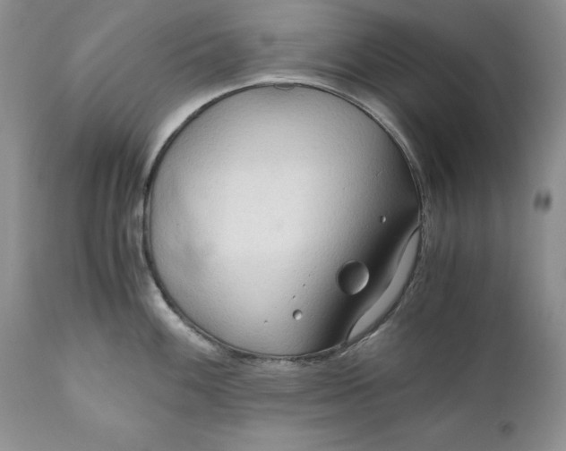 X0000110931100200907091515