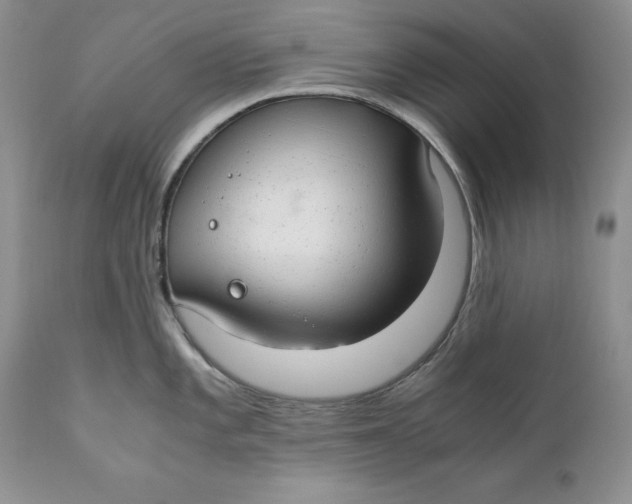 X0000110931101200907091515