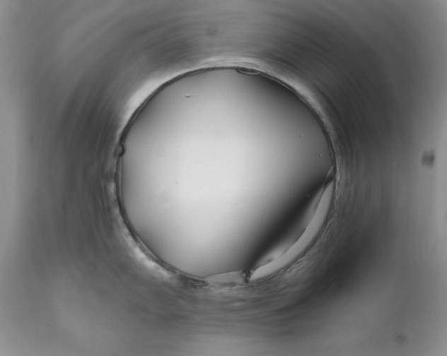 X0000110931102200907091515